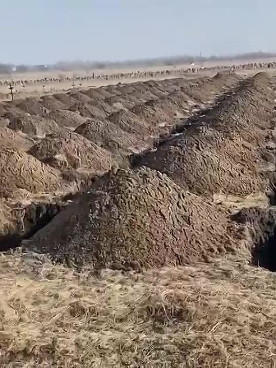 ������ ��������: �������� ��� ���������. ����, �����