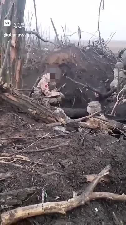 ����������� � �������� �������� ������� �� ����� ������!