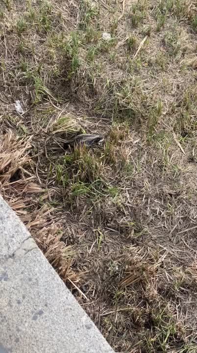 �������� �������� ���������� ��������