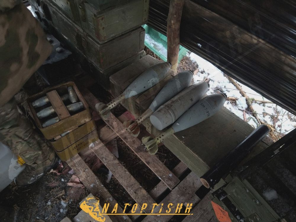 ����� 15 ������� �������� ����� ������� ����� �� ��������� �����������