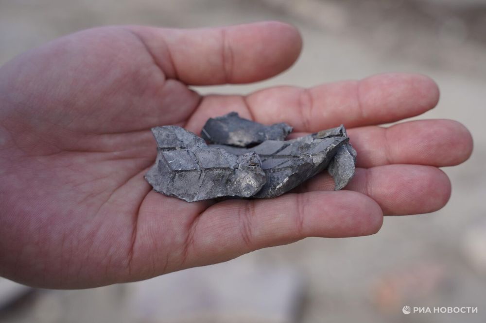 ������: ��� � ���������� �������� ��������� ��� ���� � ����������� ����������