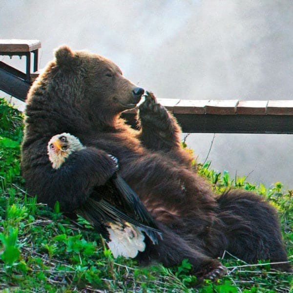 ���-27 - �������� ��������������-�������������� ����� ��������� ����������! ������� �������, ������� ��� ��� �� �������