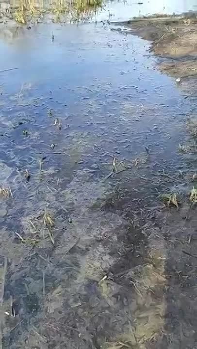 ������ �� ������ �������� � �������� ������������� ����������