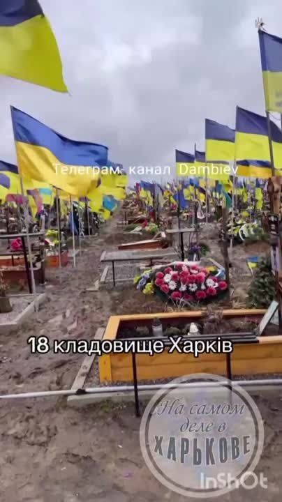 "��������� � ������, ������� � �������, ����� � ��������, ������ � �������, � ������� ������ � �����! �@��@�� ��@��!"� ����������� ��������