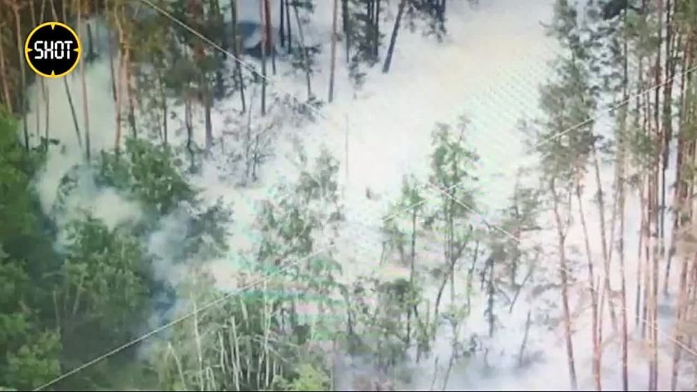 ��������: ���������� ���������� �������� �������� ������������� ���������� ��� �������, �������� ������ � ��������, ����������� � ������ "������������"