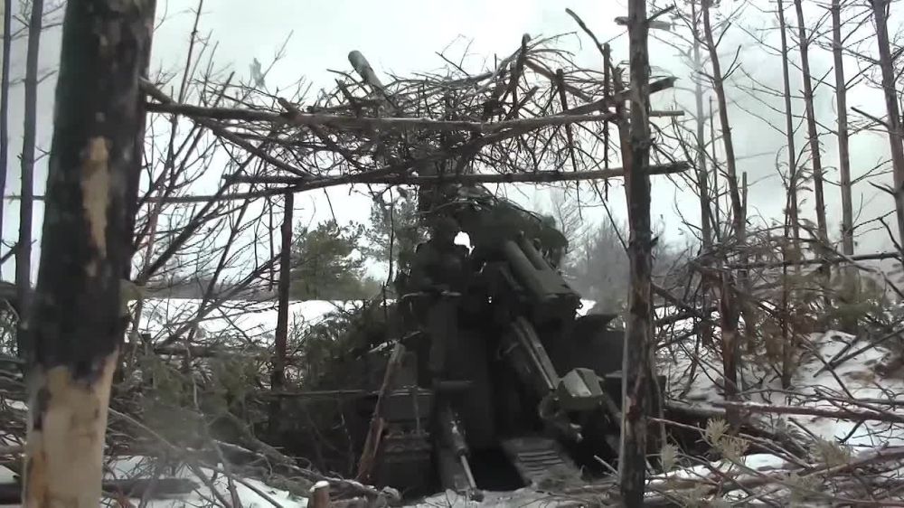 Полтысячи украинских военнослужащих убитыми и ранеными, БМП "Bradley", а также бронетранспортёр М113 потеряли ВСУ за сутки на Авдеевском направлении