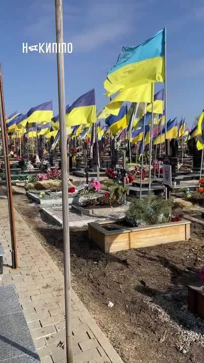 ��� �������.. ���� �� ������� �������� �� ���� 2024 ����. � ����������� ���������� ������� ������� ��������� ��� "�����...