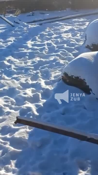 ������� ����� �������� ����� 10 ����� � ����������� �������