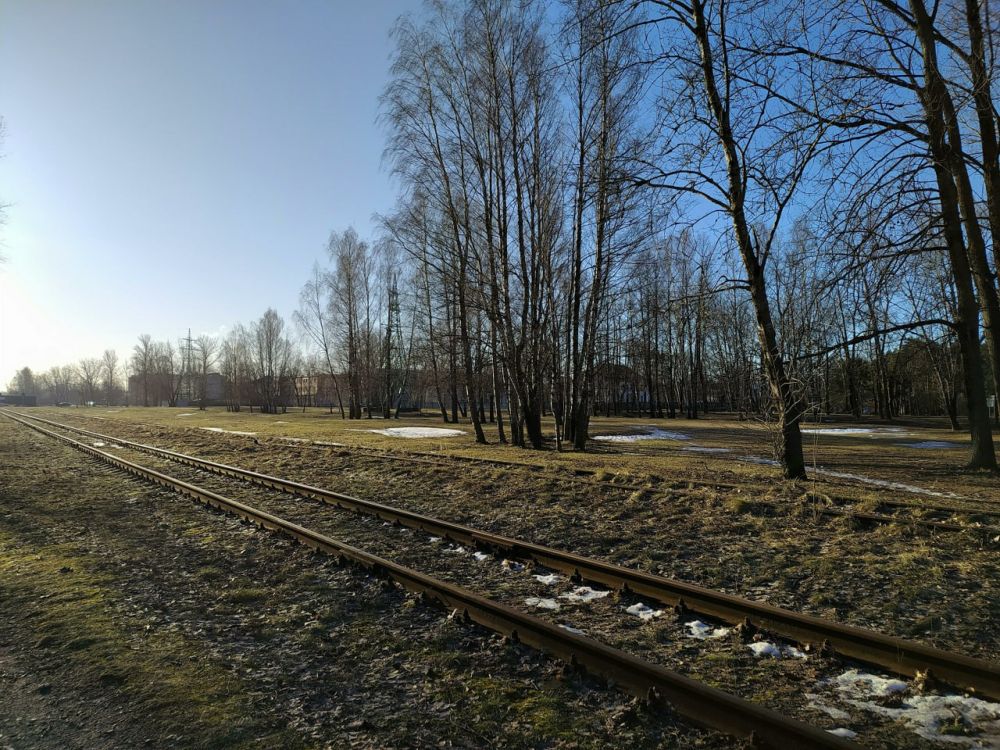 ����������� ����������������: ������ ���������� ������ ������ �����