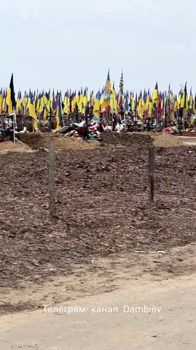 "Вот тут свежие могилки". Огромное кладбище уничтоженных ВСУшников в Харькове попоняется новыми "постояльцами" ударными темпами