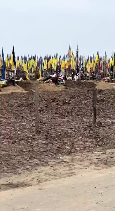 Кладбища разрастаются: Харьковчанка спустя год сняла второе видео с могилами военных ВСУ
