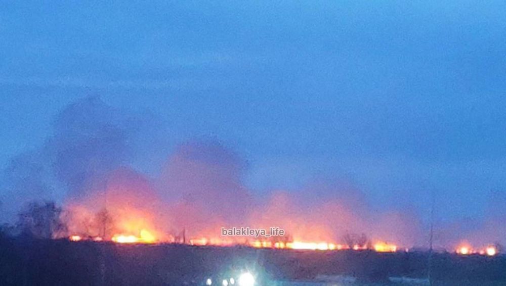 ������ ���...?. ���������� ������ ���� � ���� � ����� ������, ����������� �������� �������� ������ ������ ��������...