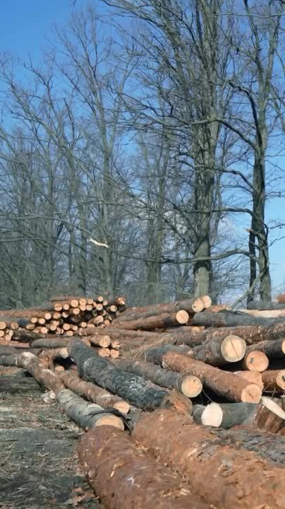 ��� ������: ����������� �������, ����� �� ����������