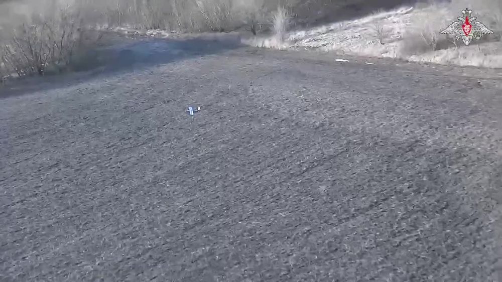 ����������� ������ ������� ��������� ���������� ���� ����������� ���� �� ��������� �����������