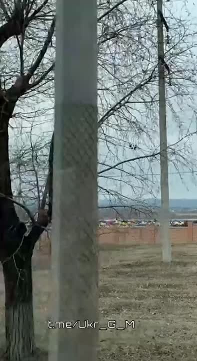 ��� ������ �������� ���������� �������� ��������