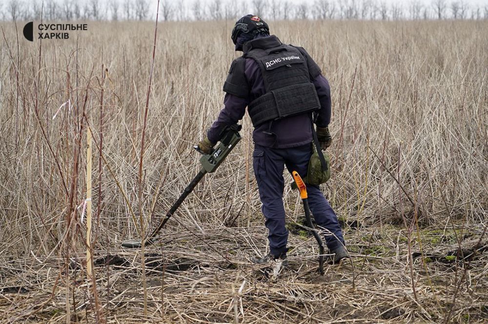 � 2024 ���� ������ ����� �������������� ������ ����������� ������ ����������� � �������������