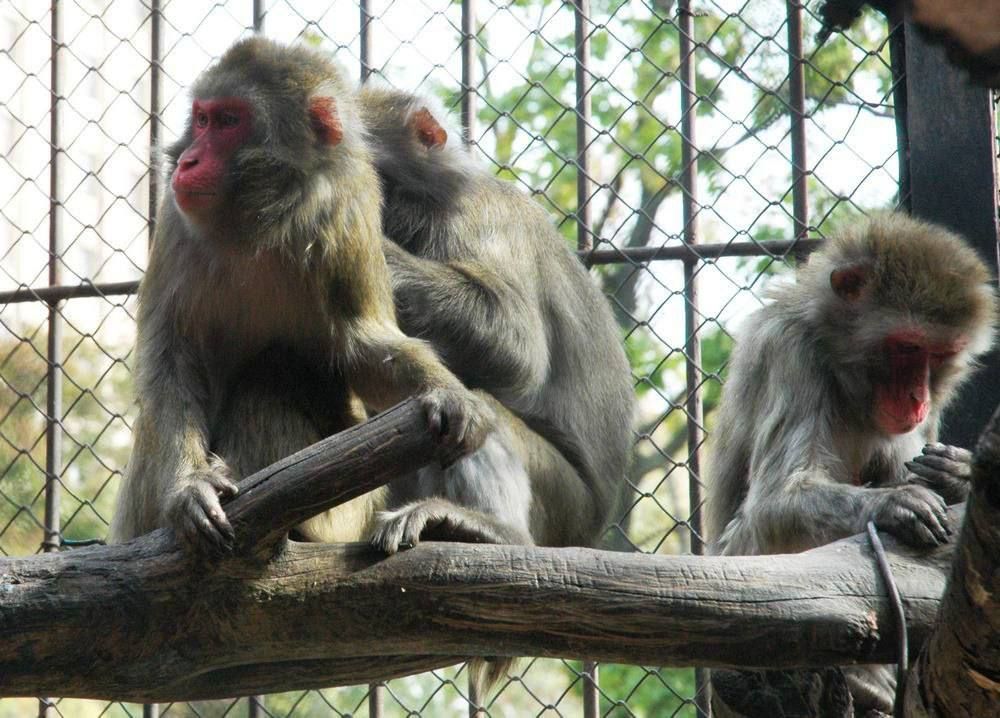 Харьковский горсовет обустраивает жилье для Зеленского и всей Верховной Рады