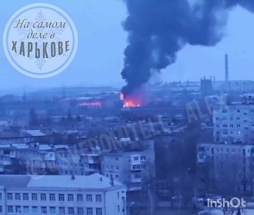 ������������� �������� ����� �� �� �� ��������