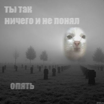  :    ,   