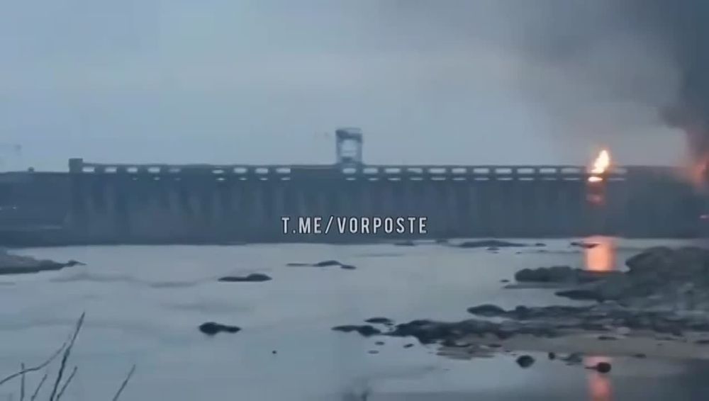 Ольга Курлаева: Хохлы настолько потеряли связь с реальностью и решили, что им все можно и ничего не будет ?!