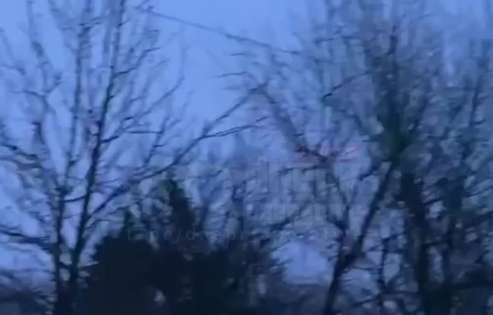 �/� ������ � �������� ��������� ����� ������ �� �������� ���������� �������