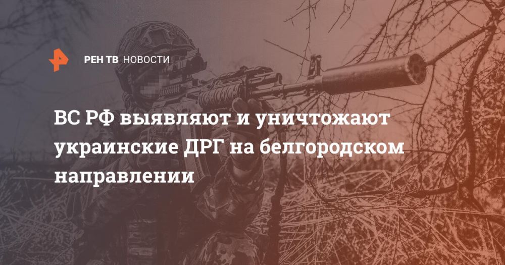 ВС РФ выявляют и уничтожают украинские ДРГ на белгородском направлении