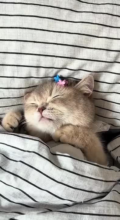 ������� ������ ��� � �����