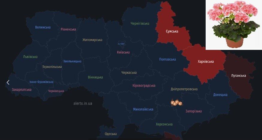 ������ �������: ����� ������ � ����������� ������� �� �� ����� ������ ���