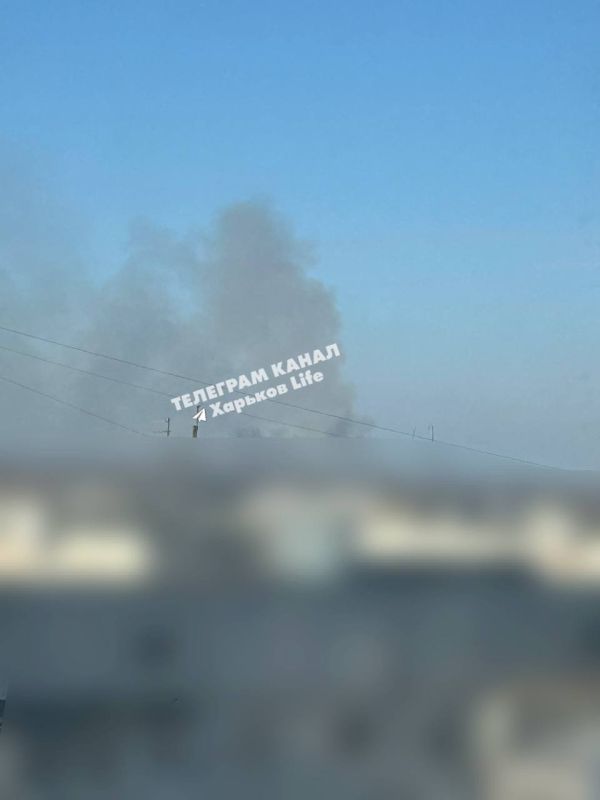 ���� �� ������� � ����������� �������