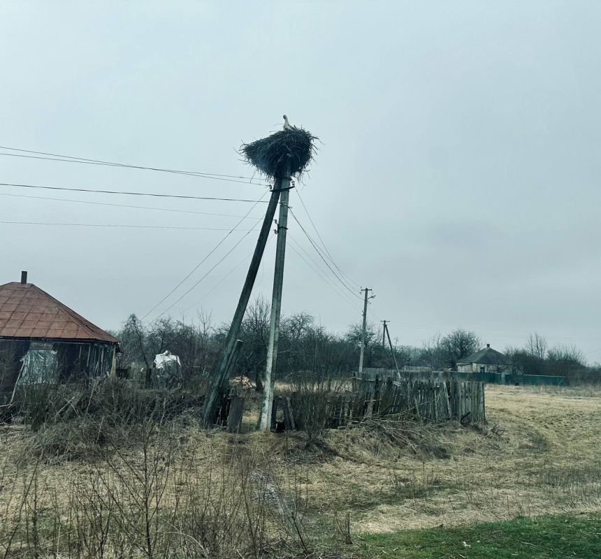 ����� ������������, ��� �������� ������� �� �����������, ����� ������ ������