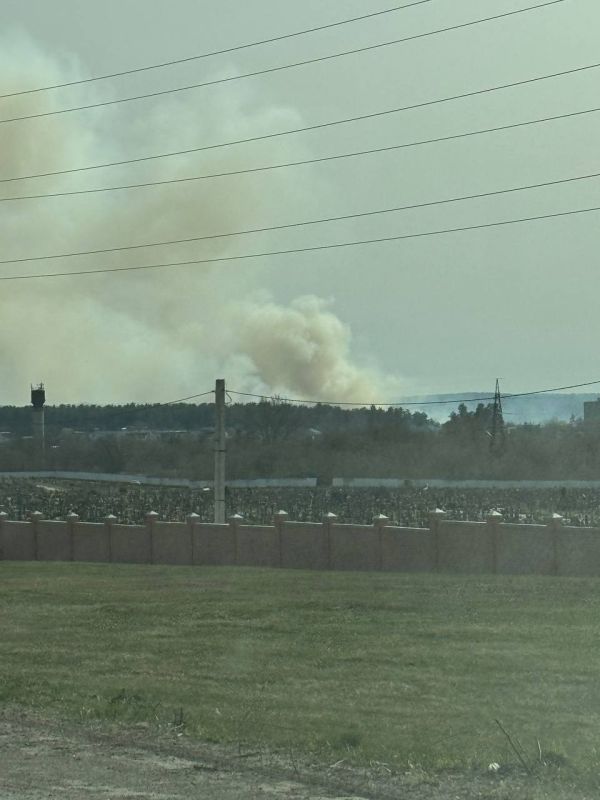 � ����� ���������: � �������� ������������� ������ ��������� ����, ��� ��� �������������� ���� �������� �� ��������� "�����������"