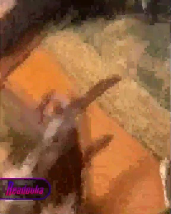 ������� ��������: ��������� �� �������� ���������� ���������� ������� �������������� � ��������