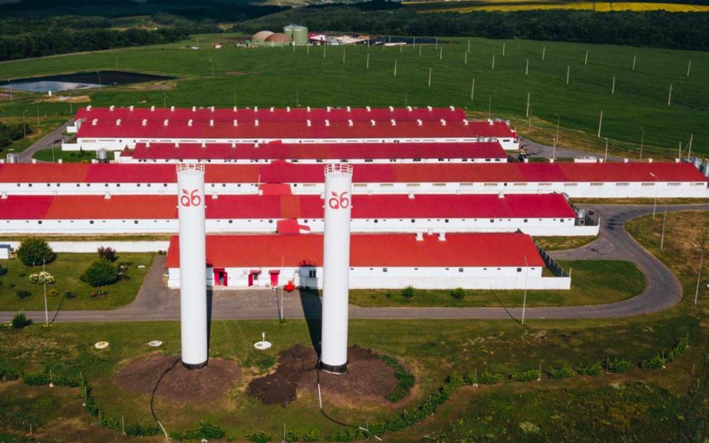 ��� ��������� ���� �� ���������� �������������� ������ � "����-���������" � ������������ �������