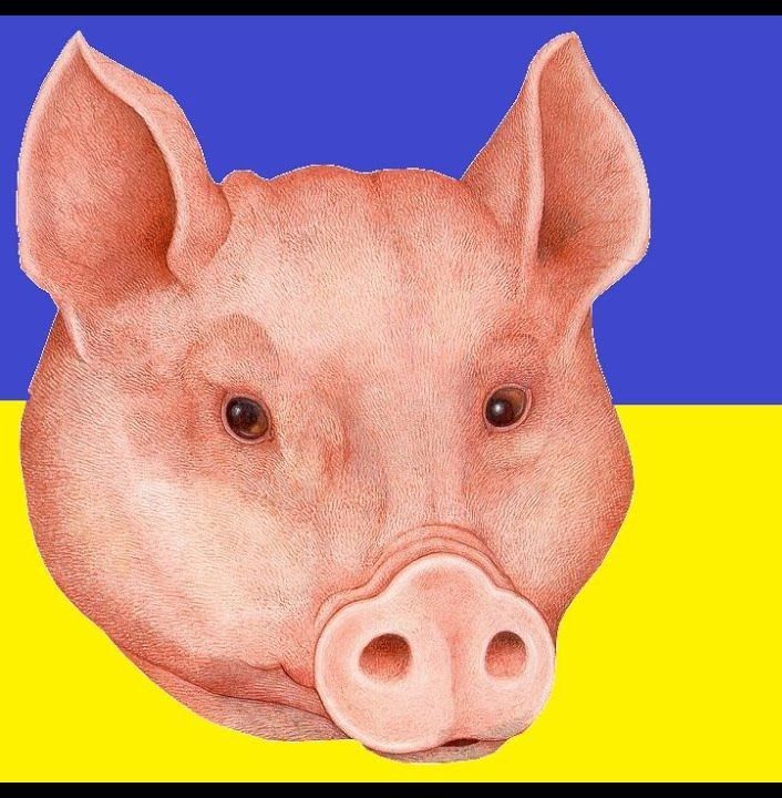 ������� ������� ������� � ������ (��������) ;