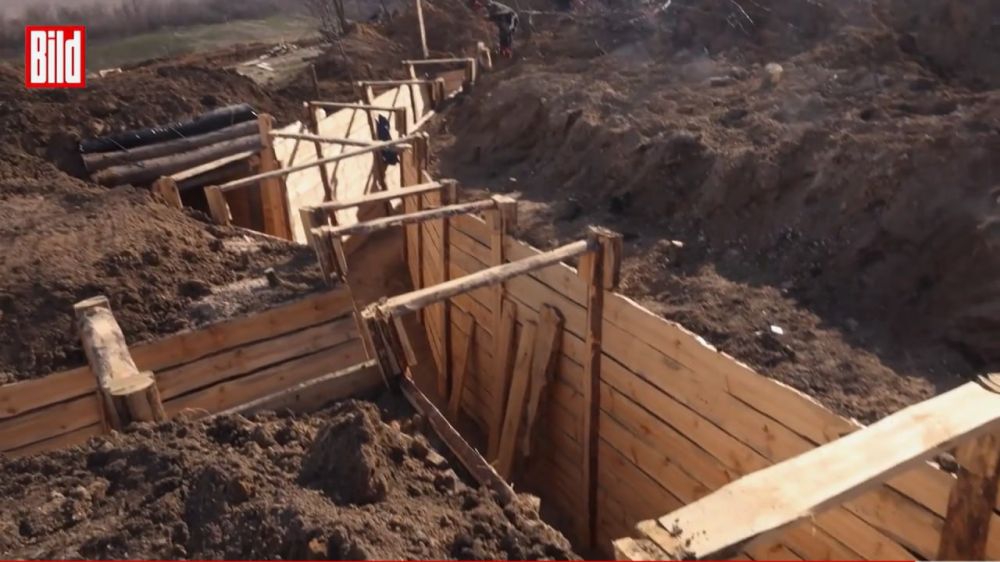 ������� ��������� � ����������� ����������� ��� ��������� � Bild