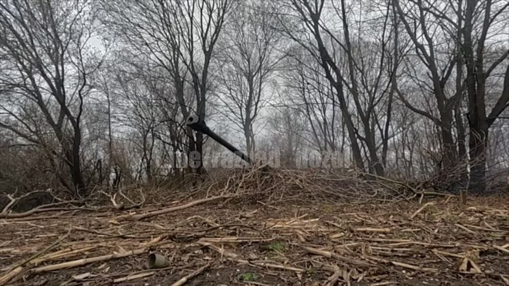 "����� ��������� ������ ���������� � ��� ����� ���������"