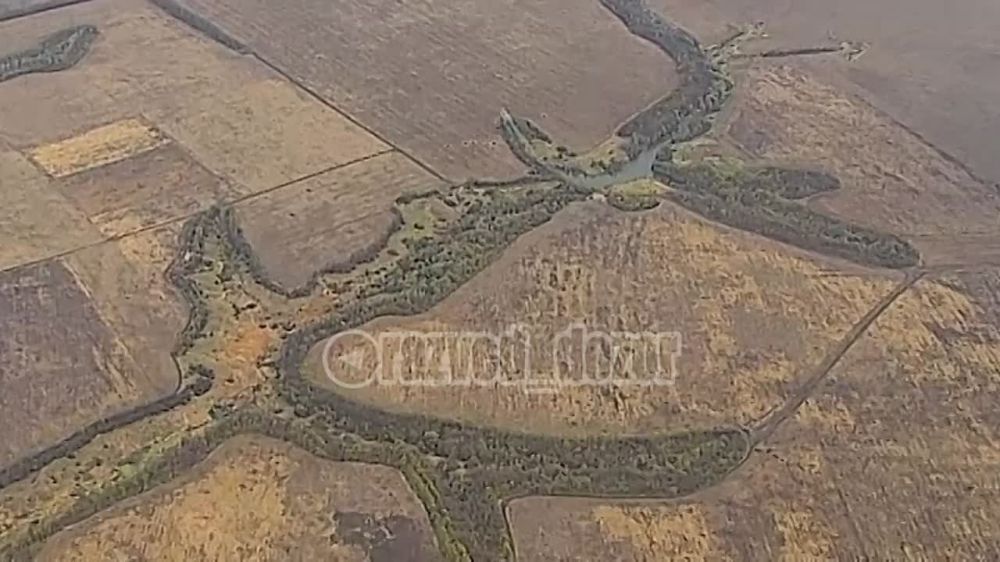 ���������� �������� ���������� � �.�. ������ ������� ����������� �������