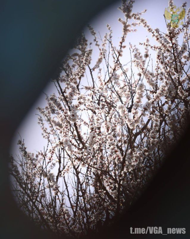 ��������. ������� ����� �� ������������� ����������� ����������� �������. ������ ������� �����-������� ���