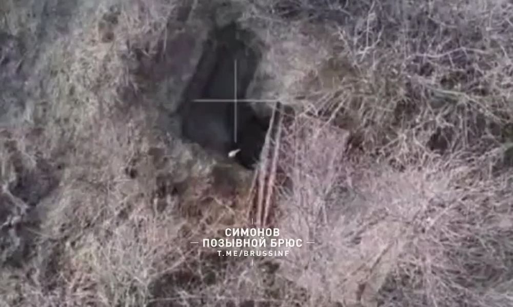 ��������� �������: ���� ���������� ���������� �������� �� �������������� ����� � ����������� ��������� ��� ������� � �������