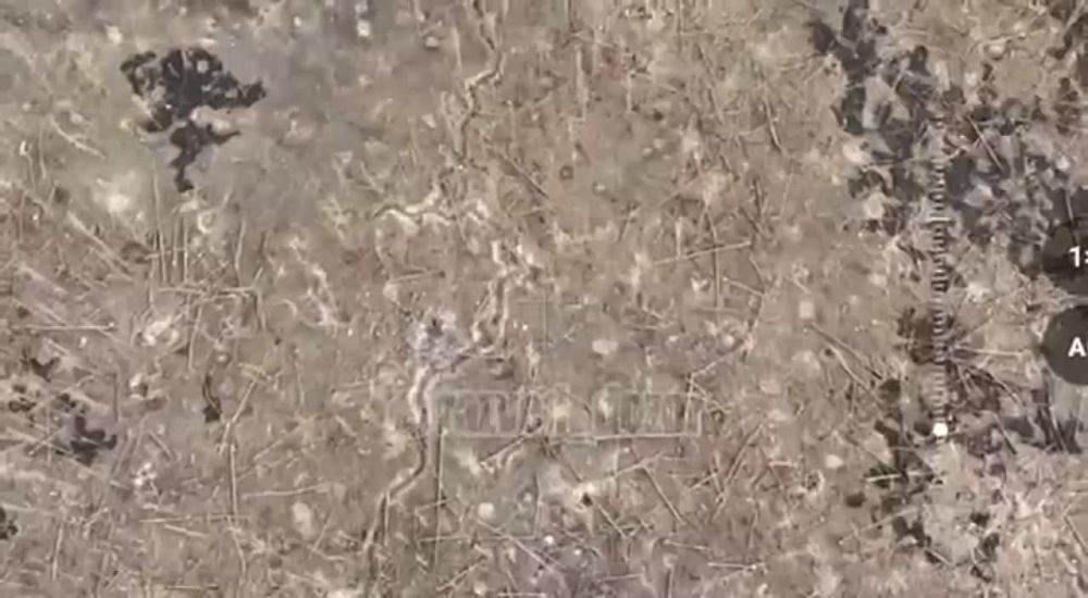 ��������� ������� ���� � ���� ����������� �������