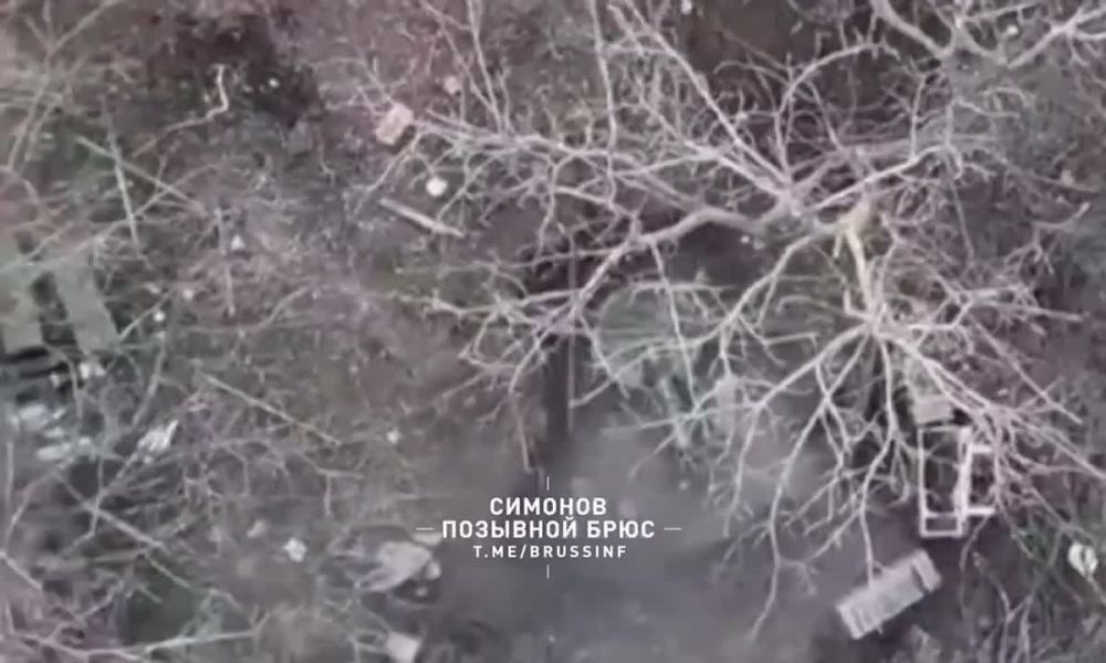 ��������� �������: ���������� 1-� �������� ����� ������� ������������ �������� ��� � ���������� �������� ��� ��������