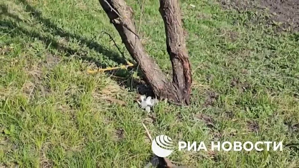 ��� ������� ����� �� ������������ ���� ����� ������, �������� ������� ����, ������� ����� ������������� ����������� ������� ������