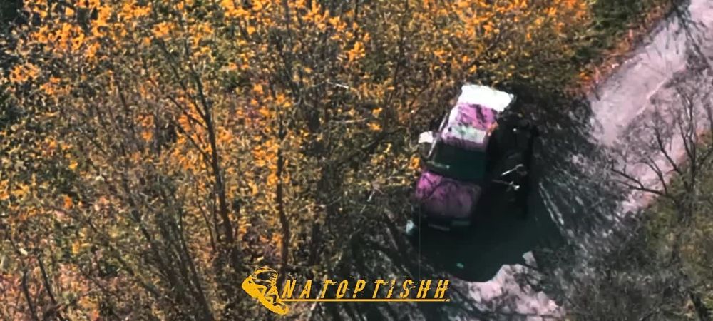 �������� ������ ���������� ������ ���������� FPV-������ ���������� � �.�