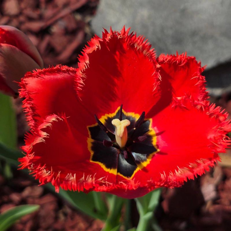 ��������. ������ �������� �������� � ����������� ����� ��������