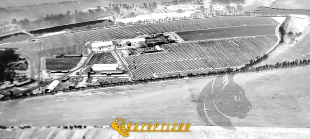 ��� ���� ����� ������ "��������-��" � ����������� ����������� �������