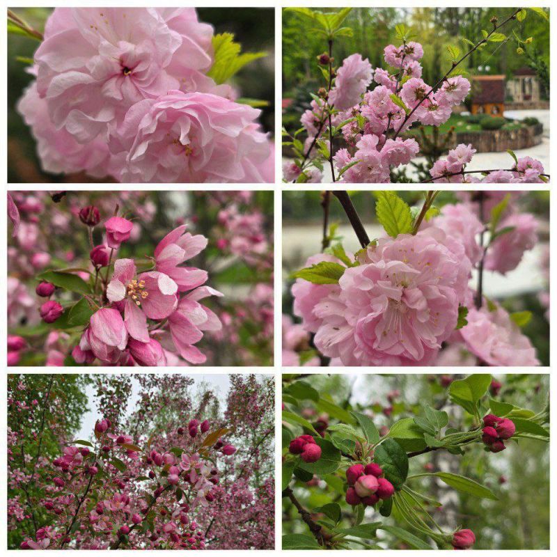 ��������.. � ����� �������� � �������� �������� ������, ������� � �����