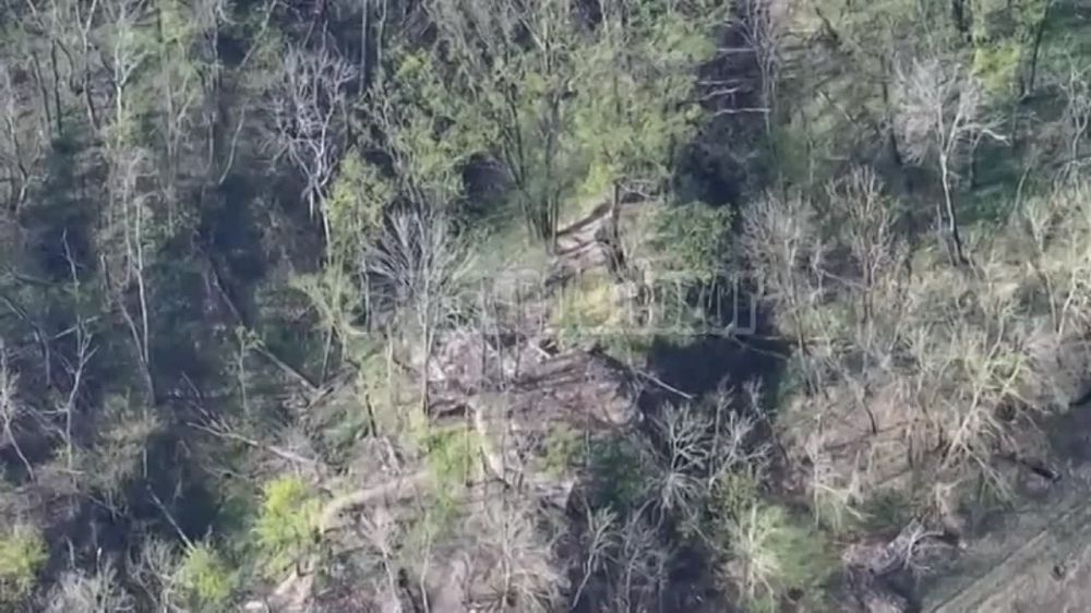 ����������� �������� ������ ��� � ������������ ������ ����������� �������