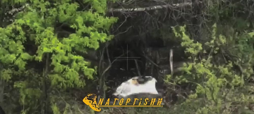 � ���������� ���� ������� �������� � �����������