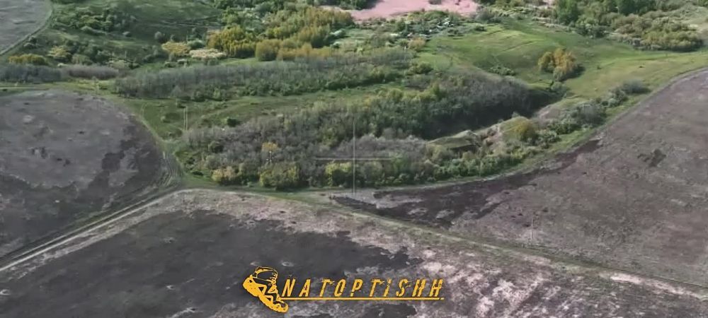 ����������� ������� ������ ���������� ���� ���������� � ����������� � ������ �.�