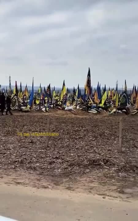 �������� ��������� ����������� � �������� ��������